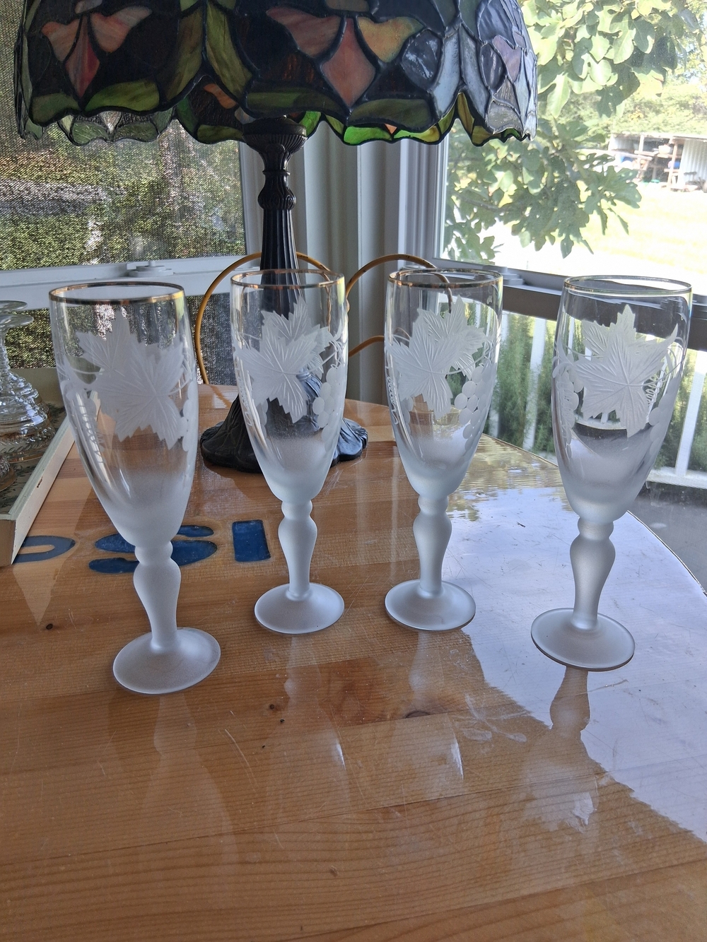 Etched Frosted Glass Champagne Flutes - Set of 4